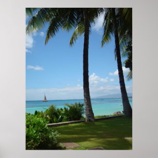 waikiki poster