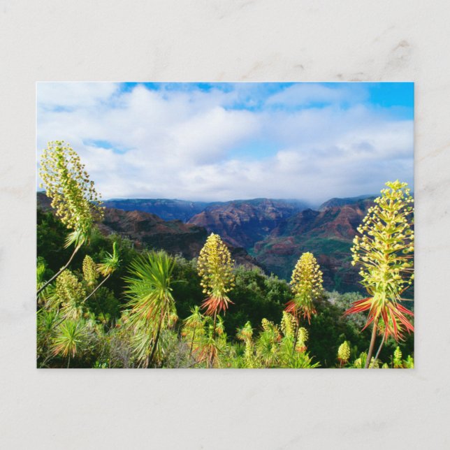 Waimea Canyon | Kauai, Hawaii Postcard (Front)