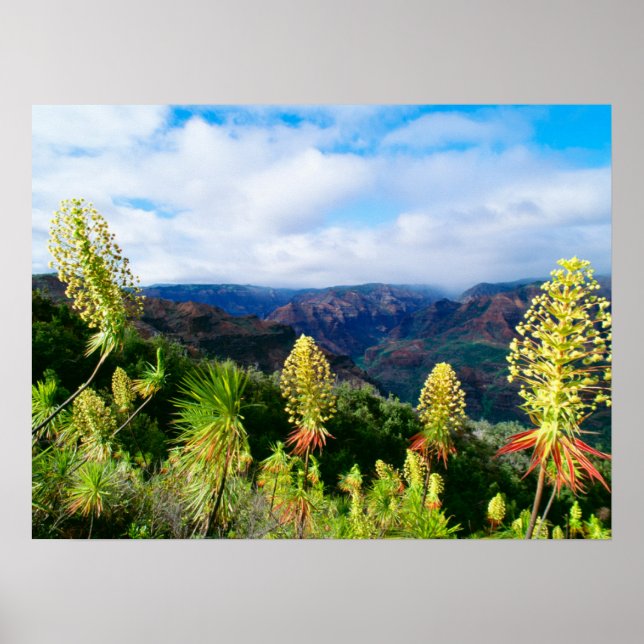 Waimea Canyon | Kauai, Hawaii Poster (Front)