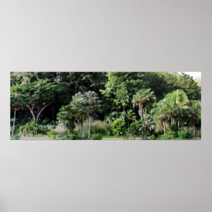 Waimea Falls Park Poster