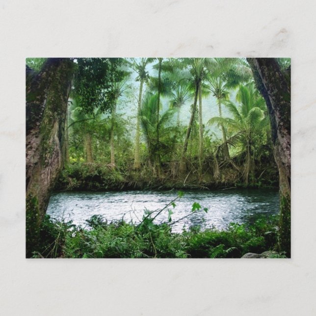 Waipio Valley Postcard (Front)