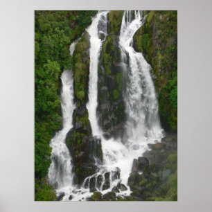 Waipunga Falls Poster