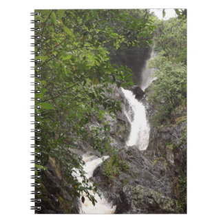 Wairere Falls Notebook