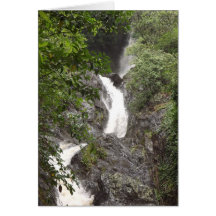 Wairere Falls, Whakatane