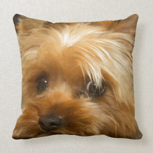 Wait for mum love  haley dog yorkie terrier cushion