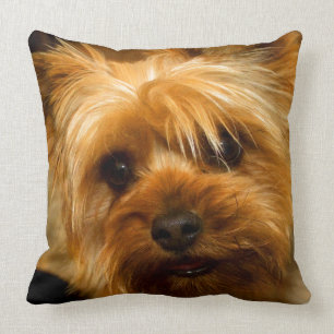 Wait for mum love Yorkie Terrier dog Cushion