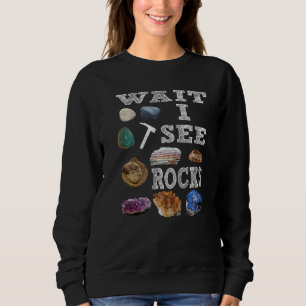 Wait I See Rocks Minerals Fossils Teacher Student Sweatshirt