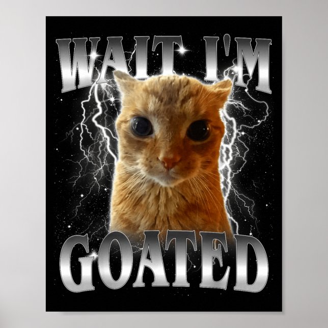 Wait i'm goated funny staring cat meme  poster (Front)
