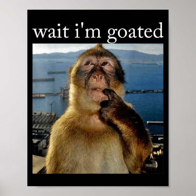 Wait I'm Goated Funny Thinking Monkey Meme Brainro Poster (Front)