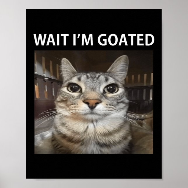 Wait Im Goated Silly Cat Meme  Poster (Front)