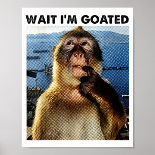 Wait I'm Goated Y2k Funny Thinking Monkey Meme Bra Poster