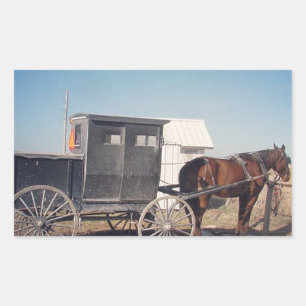 Waiting Amish Horse and Buggy Rectangular Sticker