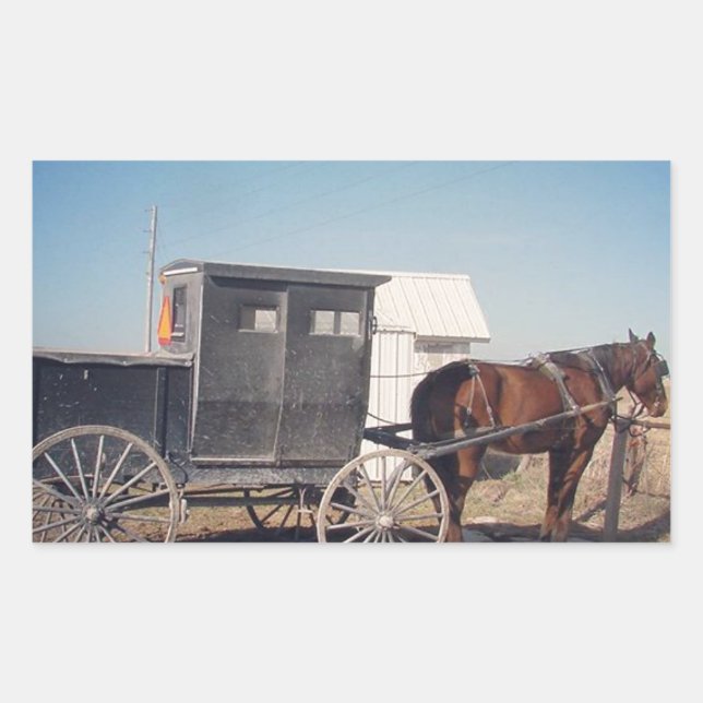 Waiting Amish Horse and Buggy Rectangular Sticker (Front)
