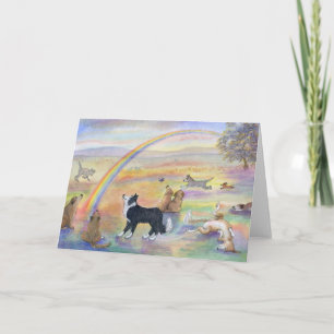Waiting at Rainbow Bridge Card