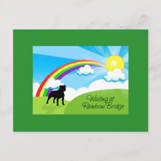 Waiting at Rainbow Bridge Pitbulls Postcard