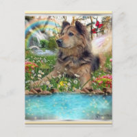 Waiting At Rainbow Bridge