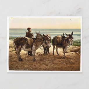 Waiting for a job (donkeys), England rare Photochr Postcard