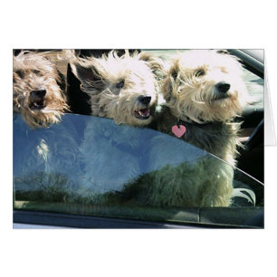 Waiting for Chinese Food