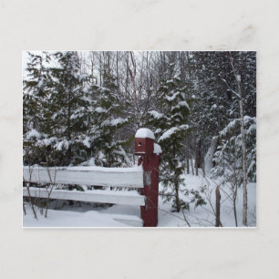 Waiting for Christmas-Bird House Holiday Postcard
