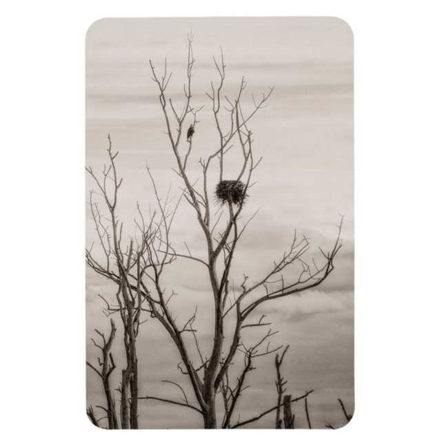 Waiting for Life Magnet (Vertical)