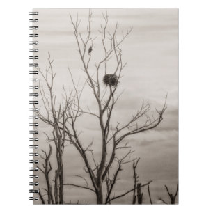 Waiting for Life Notebook