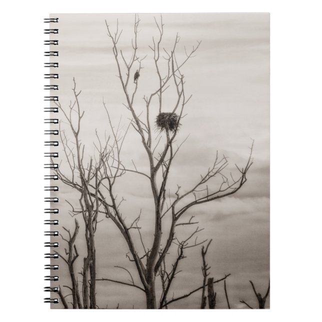 Waiting for Life Notebook (Front)