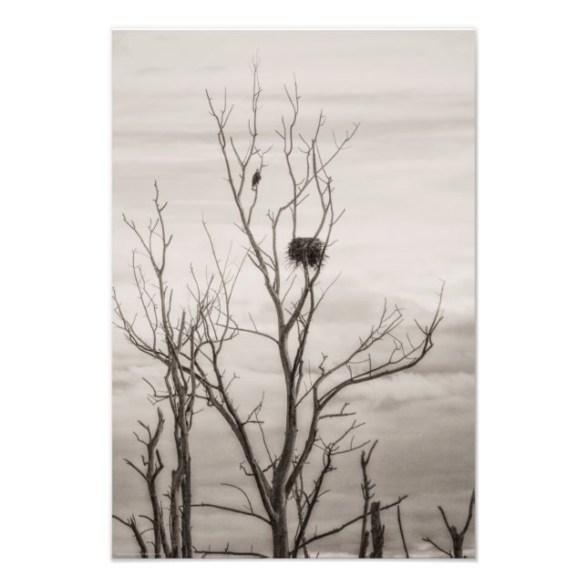 Waiting for Life Photo Print (Front)