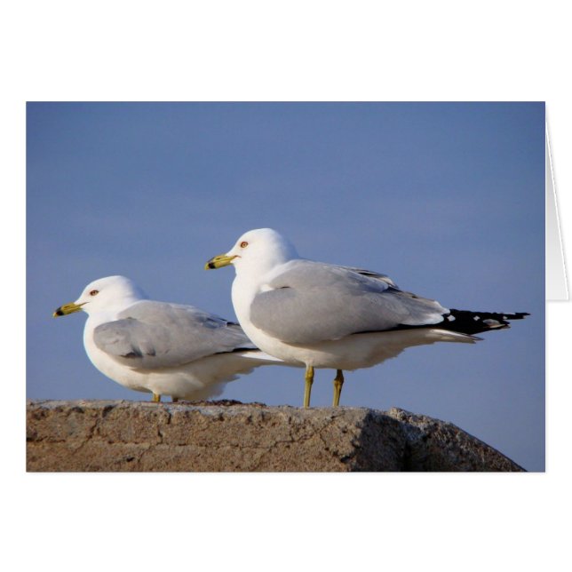 Waiting for Lift-Off (Front Horizontal)