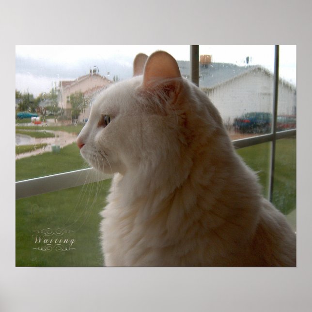 Waiting For My Human Poster (Front)