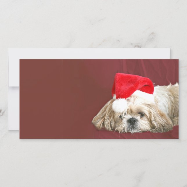 Waiting for Santa Holiday Card (Front)