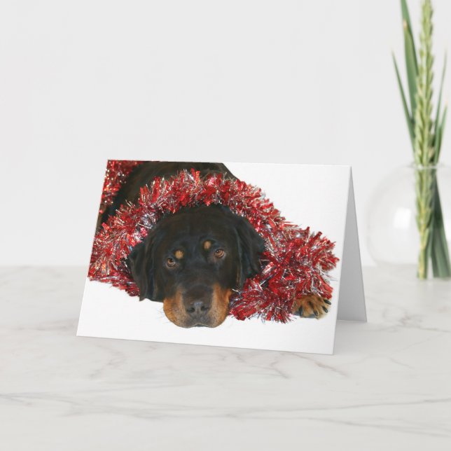 Waiting for Santa Holiday Card (Front)
