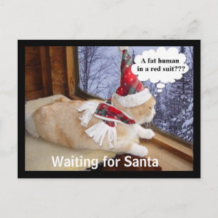Waiting for Santa Holiday Postcard