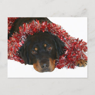 Waiting for Santa postcard