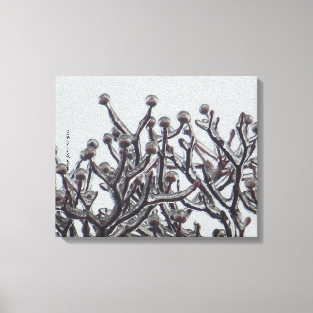 Waiting For Spring -- Dogwood Tree In Ice Canvas Print (Front)