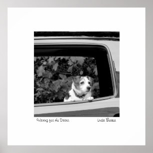 Waiting for the Driver photograph by Linda Becker Poster