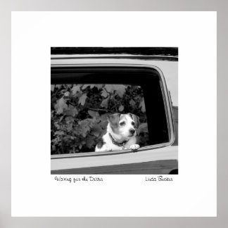 Waiting for the Driver photograph by Linda Becker Poster