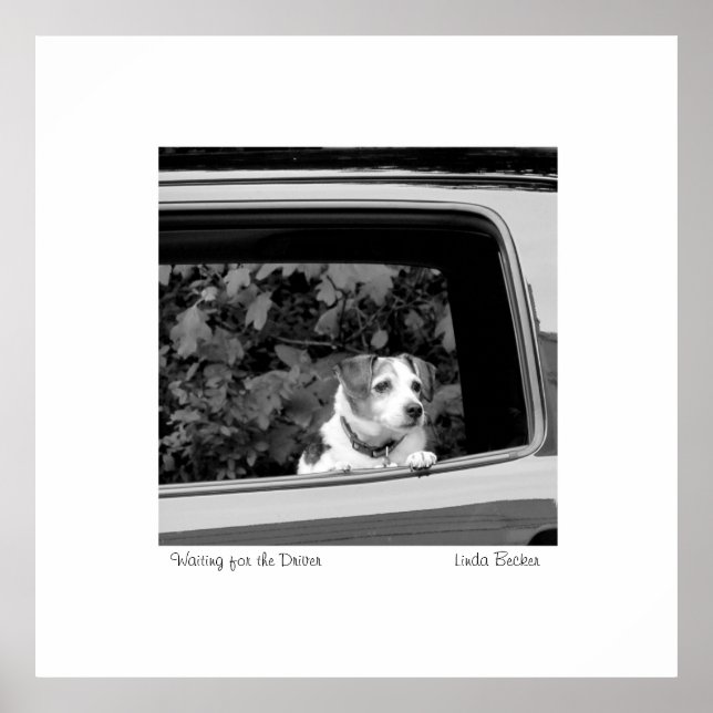 Waiting for the Driver photograph by Linda Becker Poster (Front)