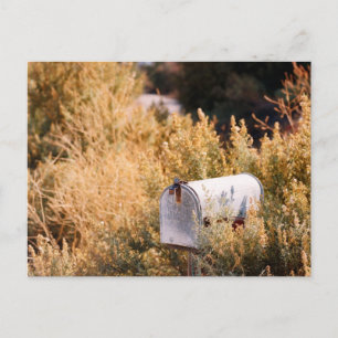 Waiting for the mail. postcard