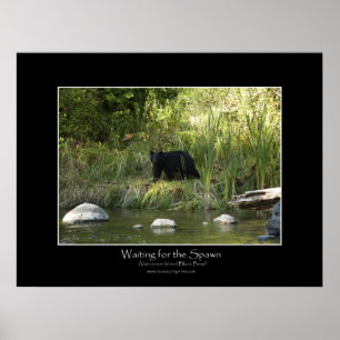 WAITING FOR THE SPAWN Photo Print