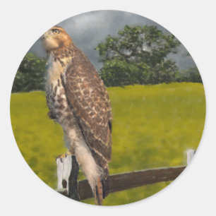 Waiting for the Storm - Red tail Hawk Classic Round Sticker