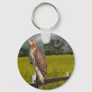Waiting for the Storm - Red tail Hawk Key Ring