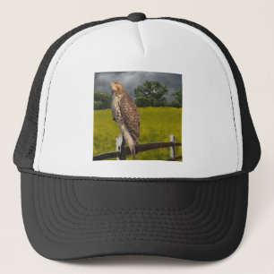 Waiting for the Storm - Red tail Hawk Trucker Hat