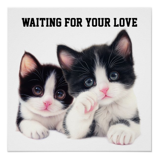 Waiting for Your Love Poster (Front)