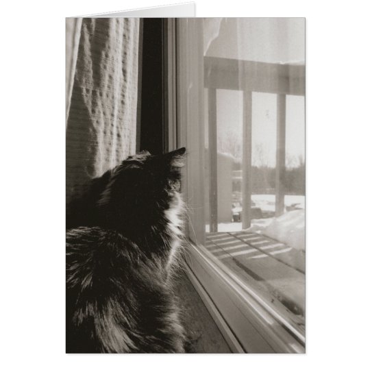 Waiting in the Sun Card