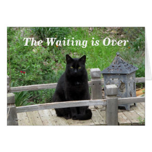 Waiting is Over Pre-Wedding Card