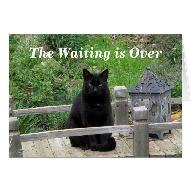 Waiting is Over Pre-Wedding Card (Front Horizontal)