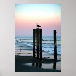 Waiting On Sunset Poster