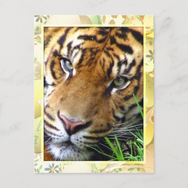 Waiting on you/Missing you_ Postcard (Front)