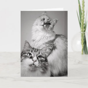 Waiting Patiently for Cake (coworker's birthday) Card