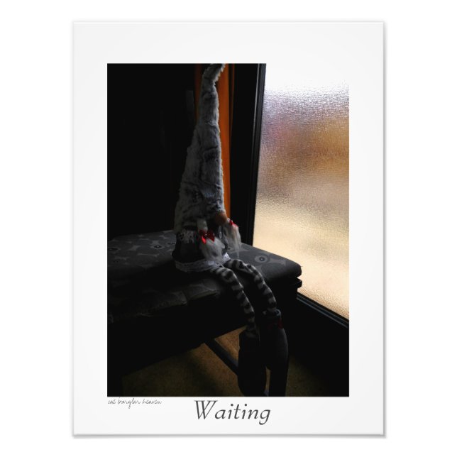 Waiting Photo Print (Front)